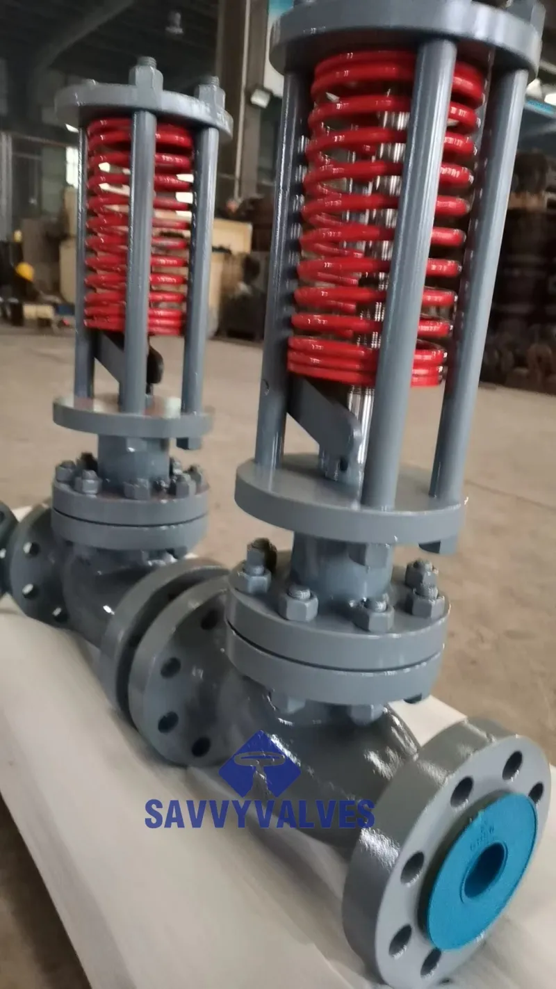 Spring Gate Valve | Leak-Tight, Low Pressure Drop, Durable