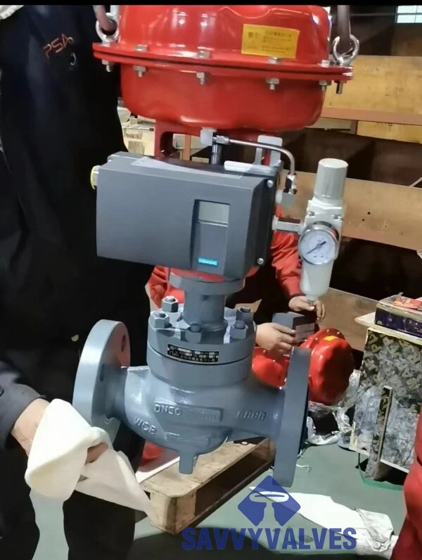 SAVVY Diaphragm Pneumatic Control Valve