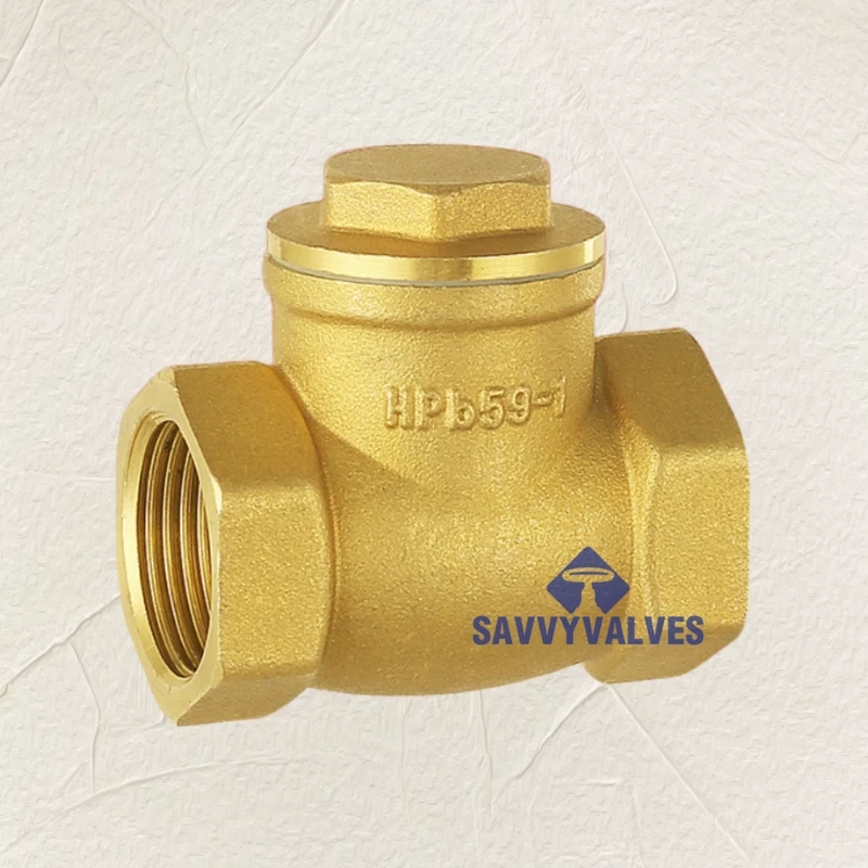 Plumbing brass check valve