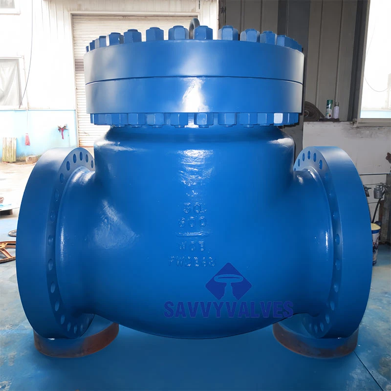 Comprehensive Guide to Check Valves