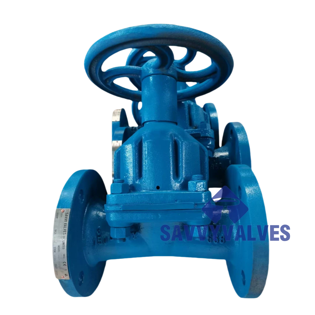 Versatility Of The Diaphragm Valve