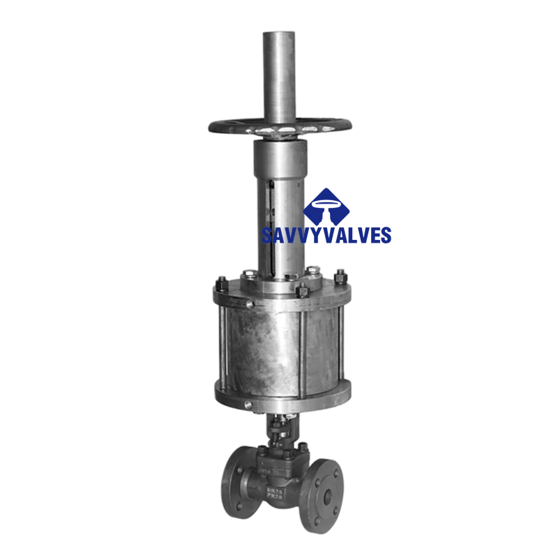 DN25-PN25-RF Pneumatic Globe Valve
