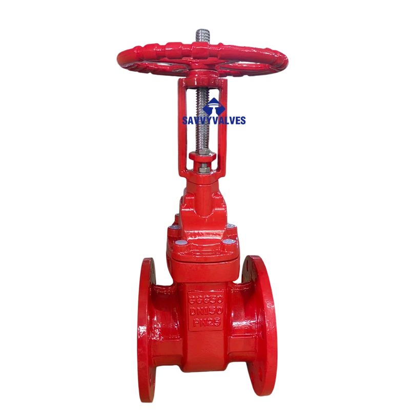 DN150-PN25 Cast Iron Metal Seated Rising Stem Gate Valve