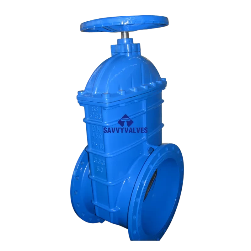 BS NRS Rubber Seated Gate Valve c/w Key Operator