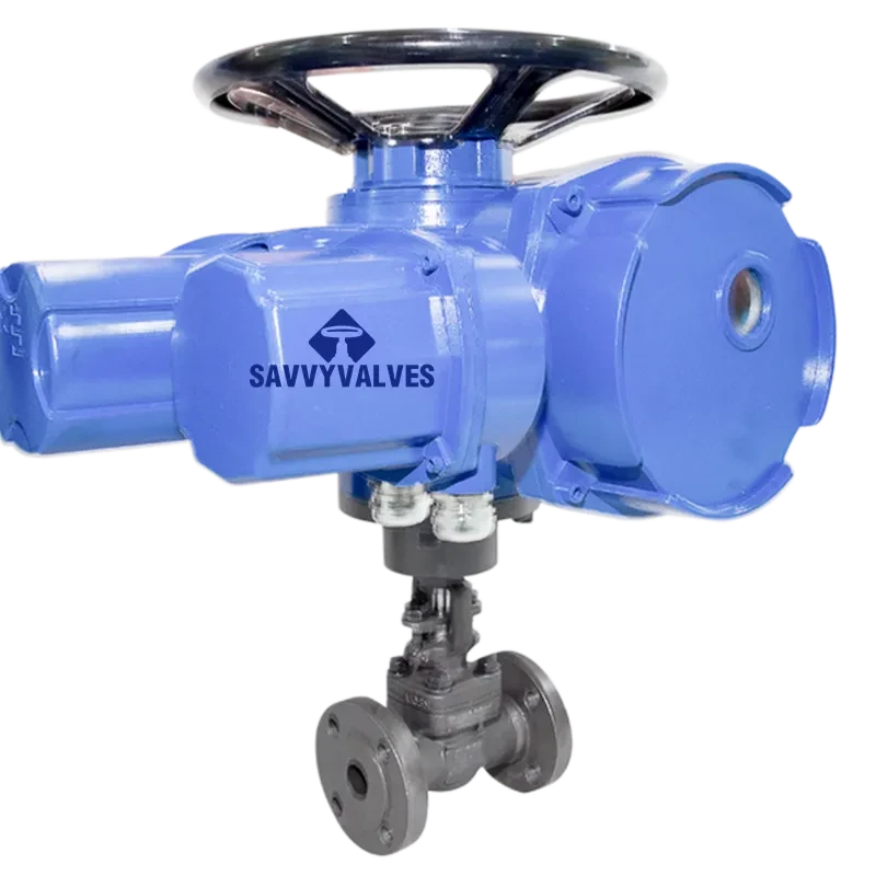 DN25-PN25-RF Motorized Globe Valve