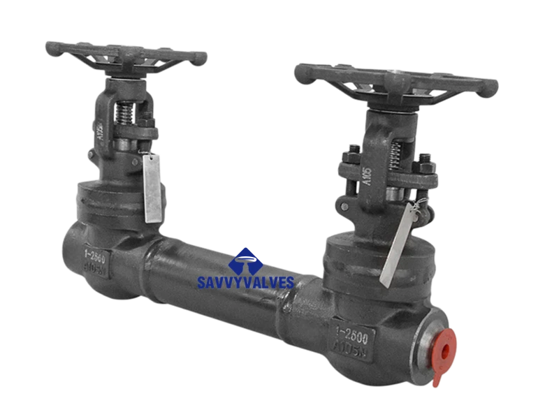 1″-2500LB-BW Double Block Gate Valve