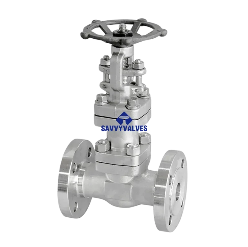 DN50-PN25 F316L Bellow Seal Globe Valve