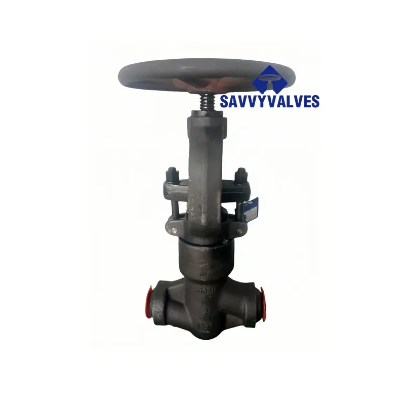 Class 1500 Closed Die Forged PSB Globe Valve