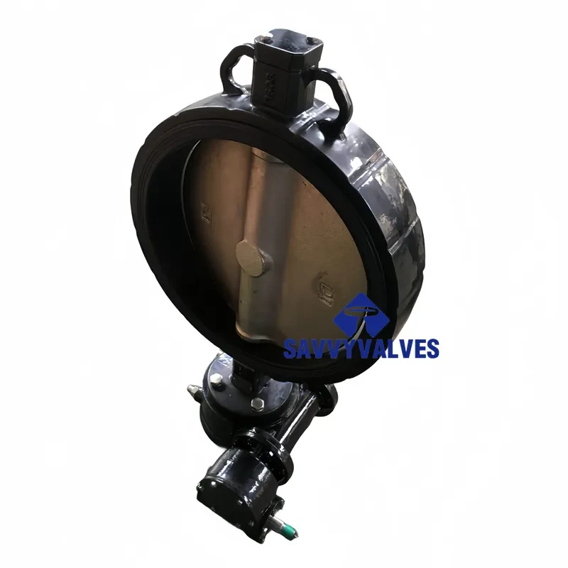 Loose Liner Wafer-Type Butterfly Valve cw Gear