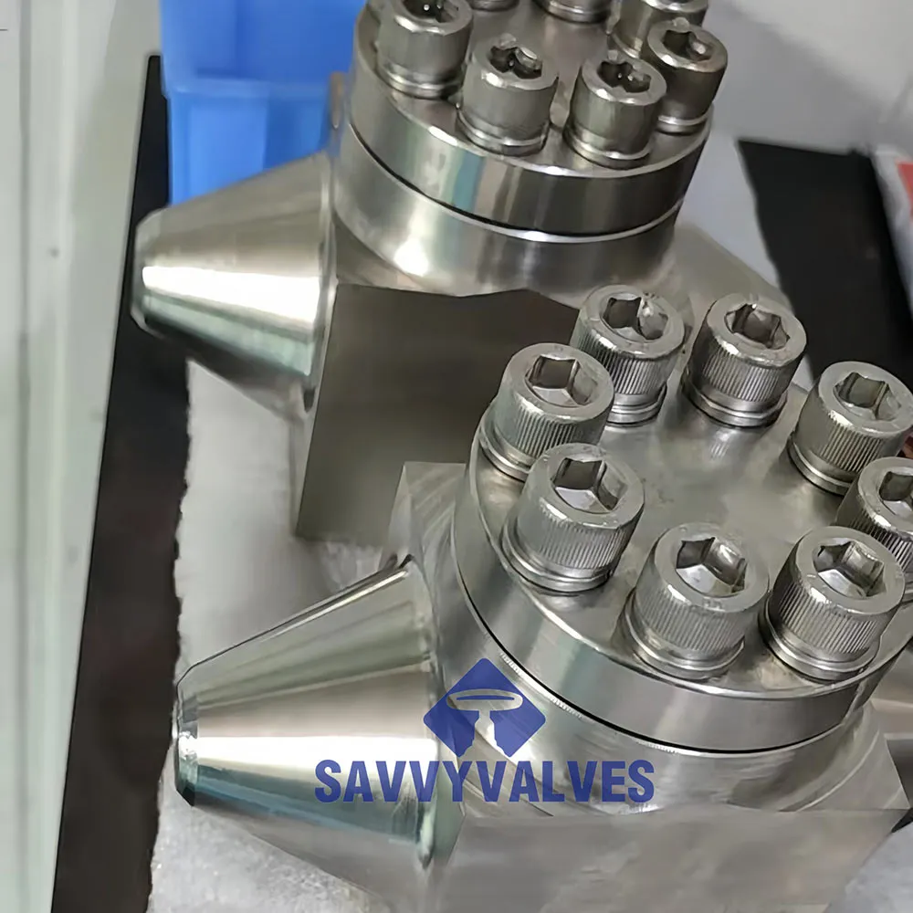double plate check valve