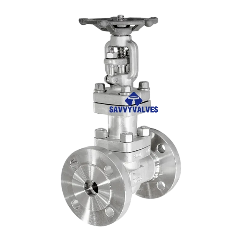 DN80-PN16 SS Bellow Seal Globe Valve