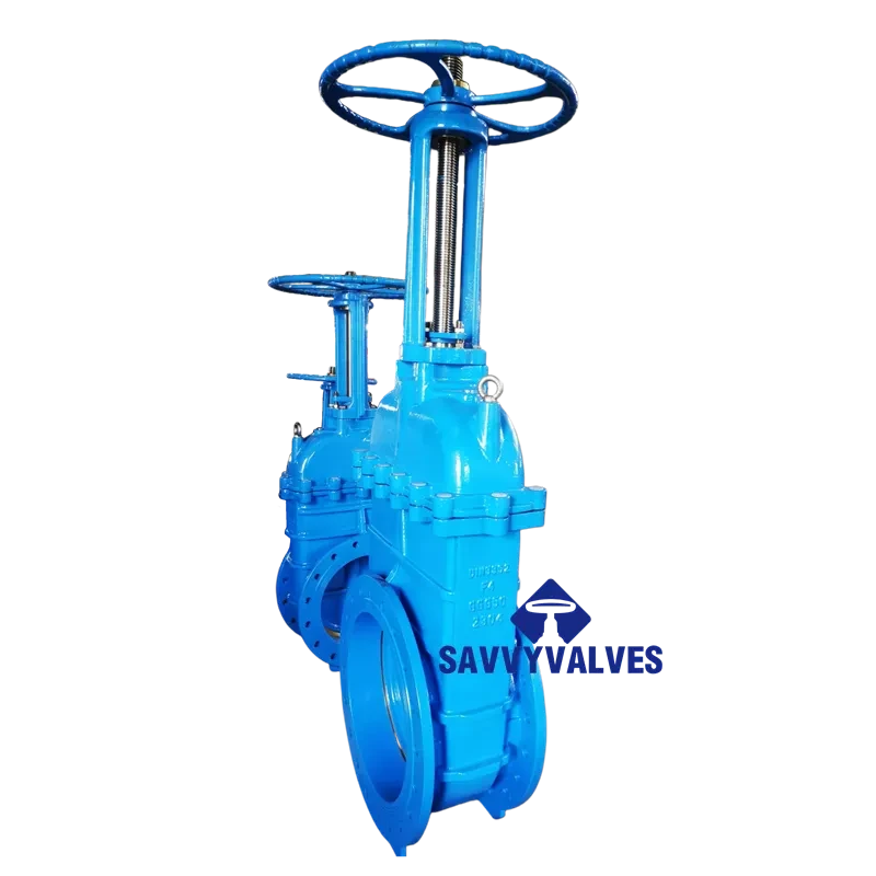 DN500-PN10 Cast Iron Metal Seated Rising Stem Gate Valve