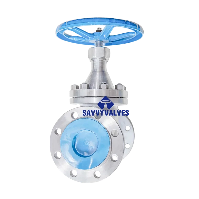 DN80-PN40 NRS SS Globe Valve