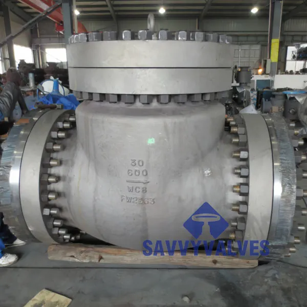 Read More About metal seated check valve