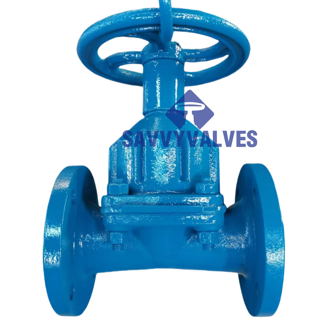 The Essential Guide to Diaphragm Valves