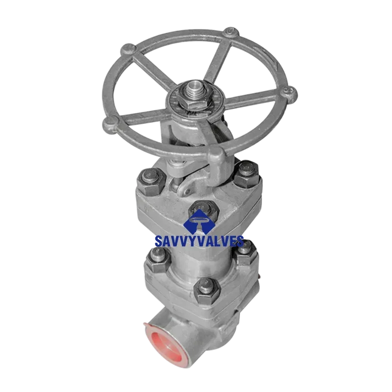 2″-1500LB-SW F91 Bellows Seal Gate Valve