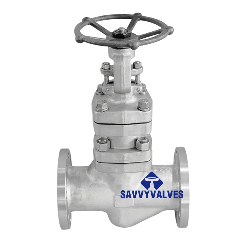 DN80-PN16-RF F304 Bellows Seal Globe Valve