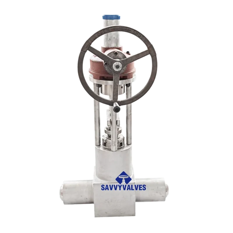 3″-2500LB Open Die Forged Gate Valve