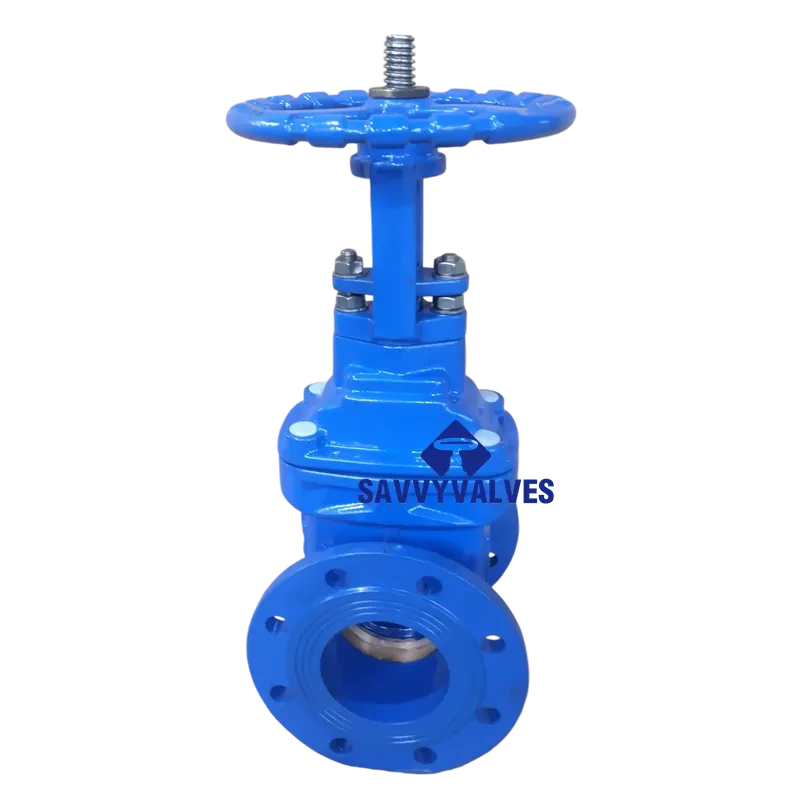 DIN Metal Seated RS Gate Valve