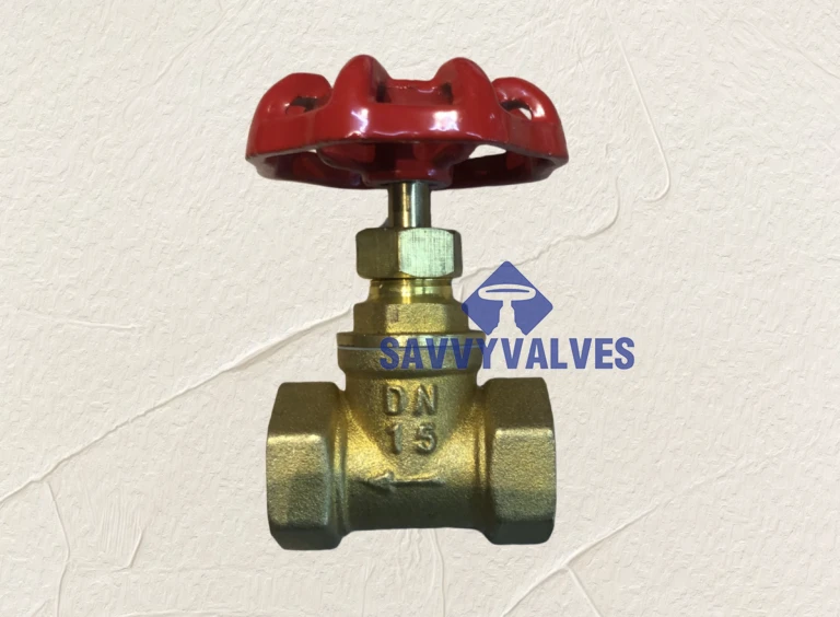 Plumbing brass globe valve