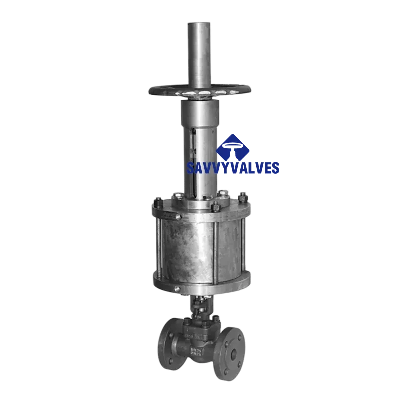 DN25-PN25-RF Pneumatic Globe Valve