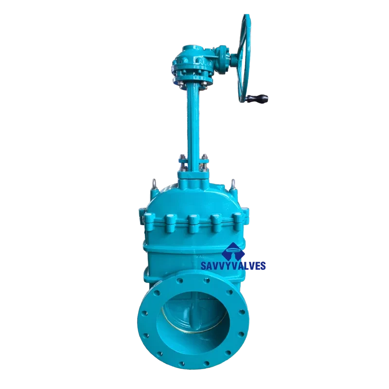 14″-125LB Cast Iron Metal Seated Rising Stem Gate Valve