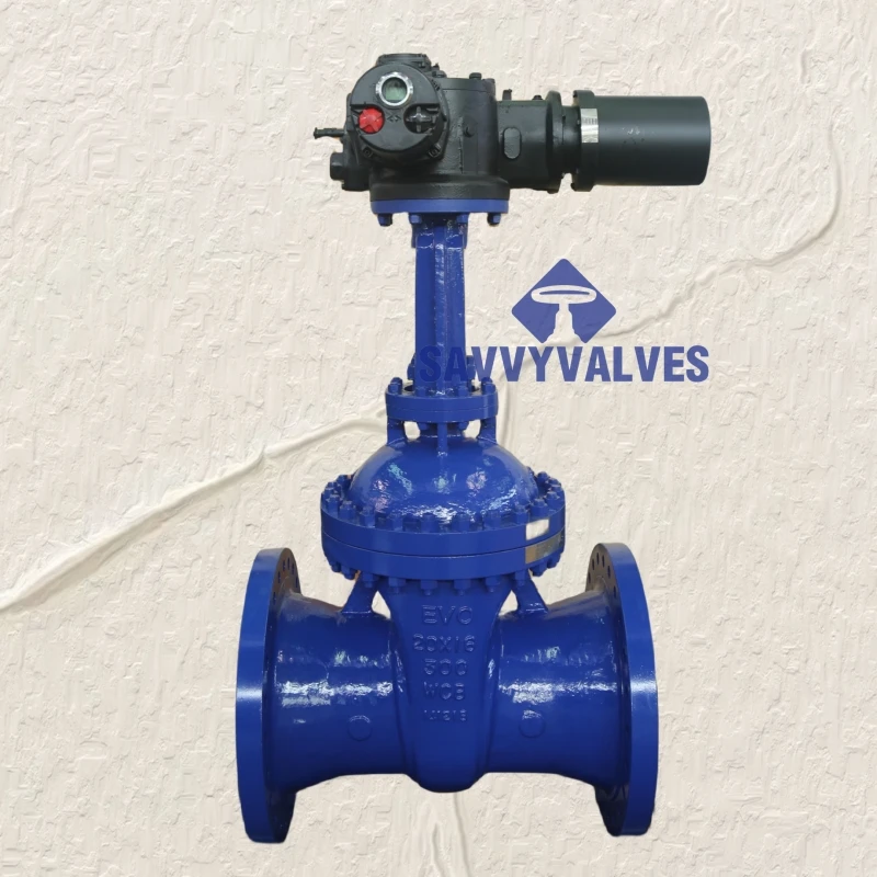 Solid wedge gate valve, BB, OS&Y, RS, motorised