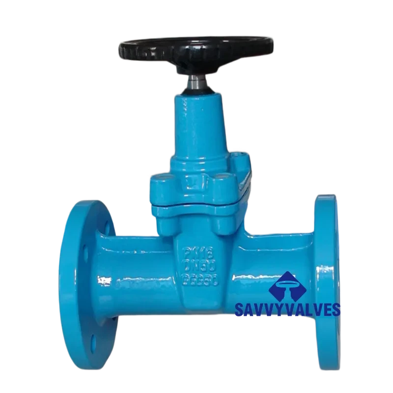 DIN Rubber Seated NRS Gate Valve (HW)