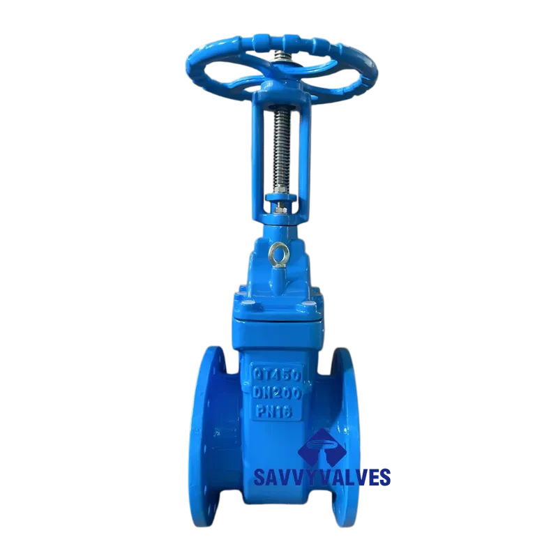 DN200-PN16 Cast Iron Metal Seated Rising Stem Gate Valve
