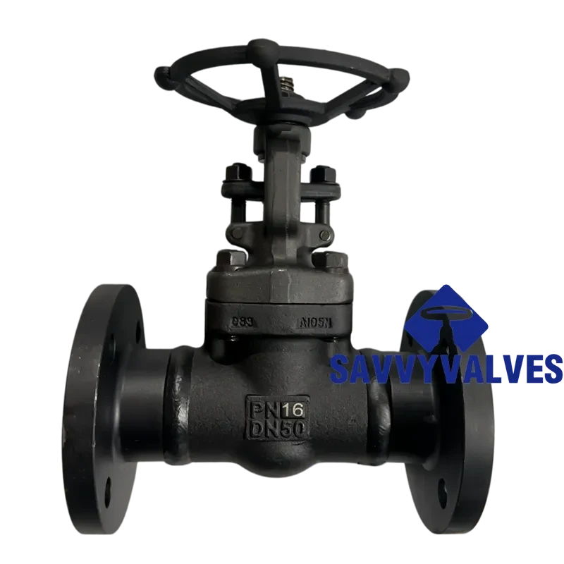 DN50-PN16 Welded Flanged Close Die Forged Gate Valve