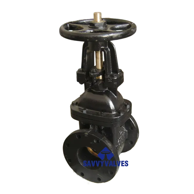 1 gate valve 1 gate valve