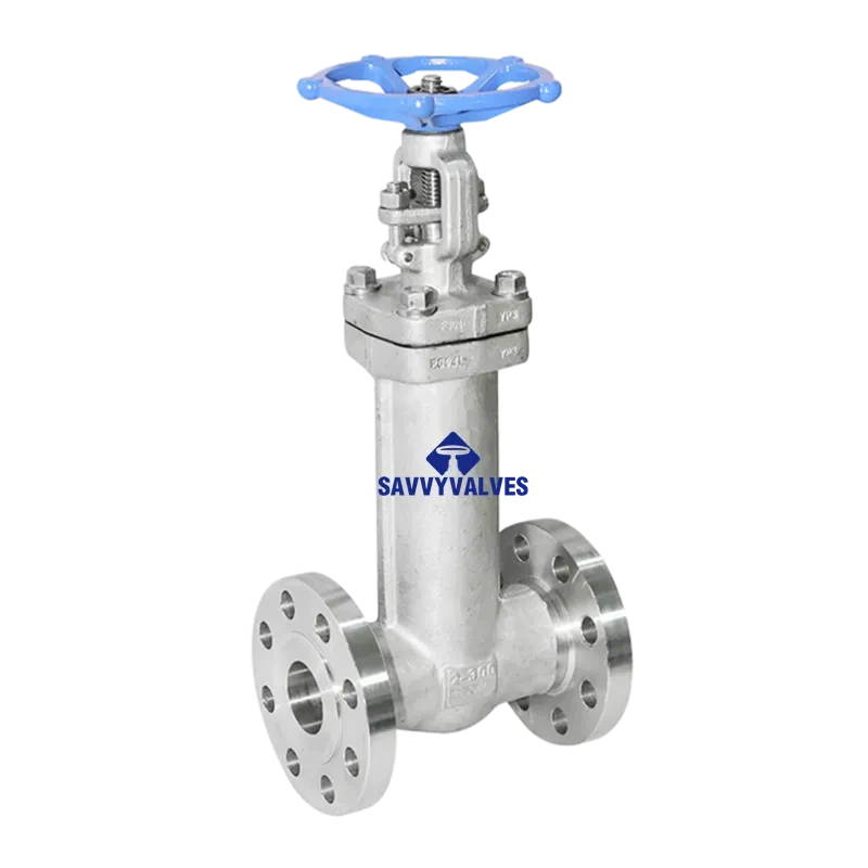 2″-300LB SS Bellow Seal Gate Valve