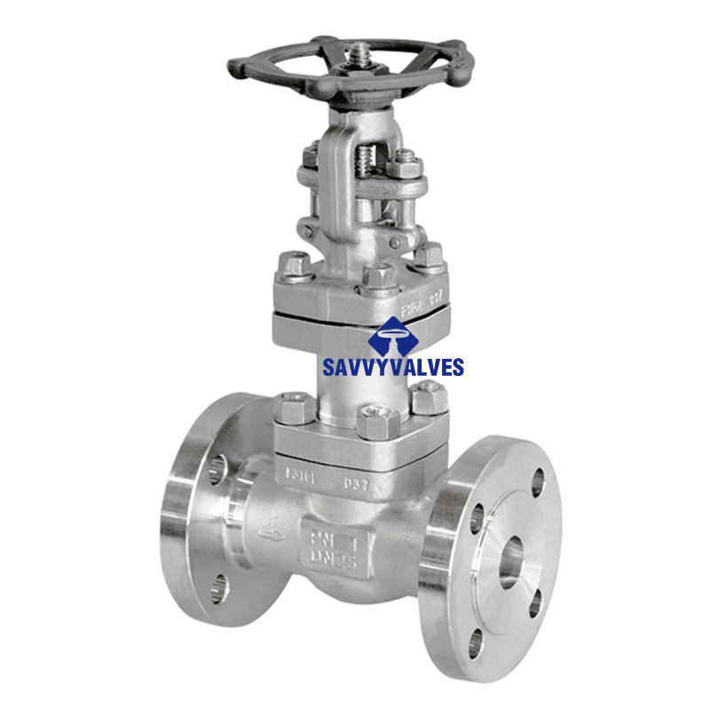 DN50-PN25 F316L Bellow Seal Globe Valve