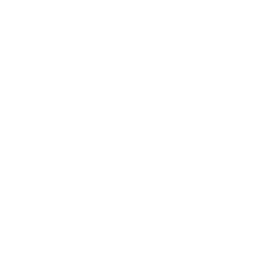 Leveraging established shipping and warehousing networks, we minimize delays and ensure just-in-time delivery.