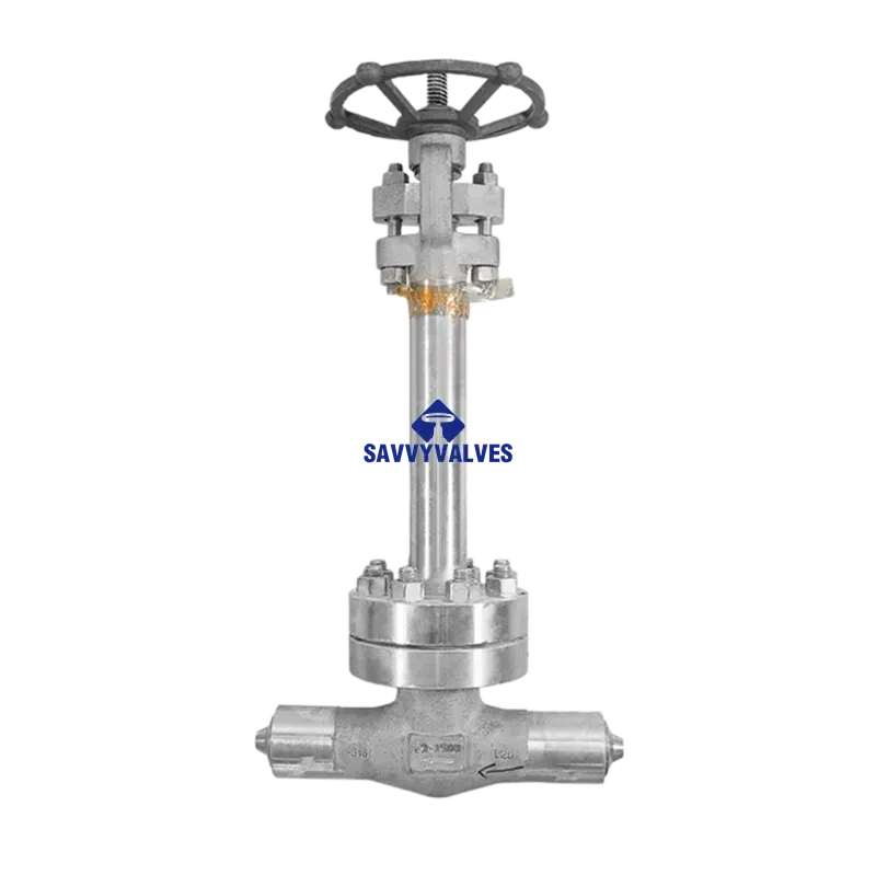 1/2″-2500LB Cryogenic Globe Valve