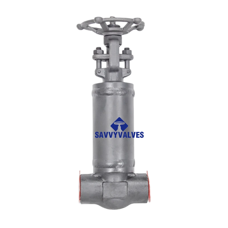 DN25-PN25-SW Bellows Seal Globe Valve