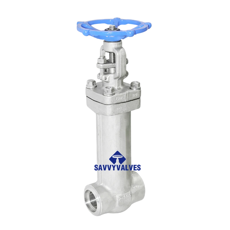 2″-300LB SS Bellow Seal SW End Gate Valve