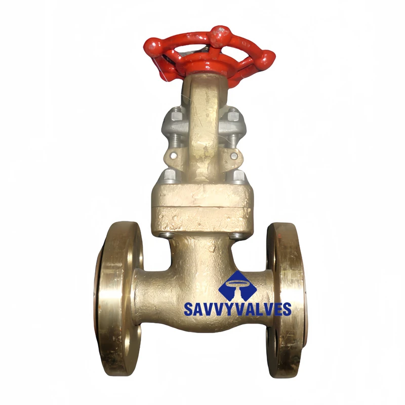 C95500 Al-bronze Gate Valve