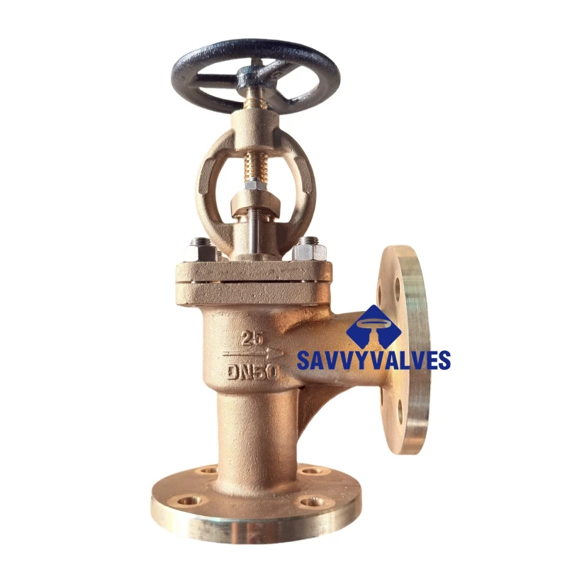 SDNR Angle Pattern Globe Valve