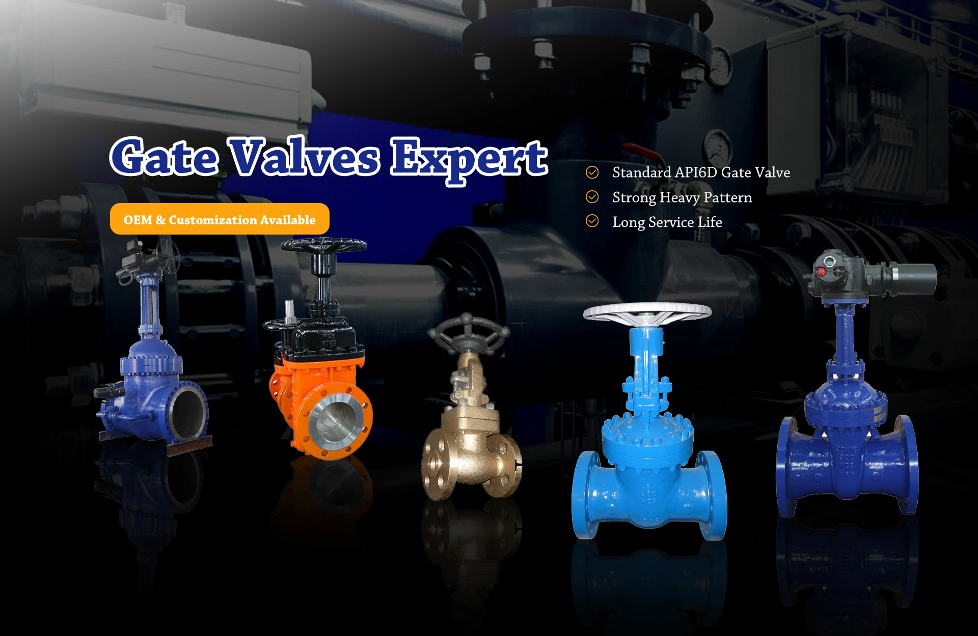 check valve supplier