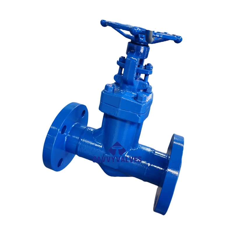 Closed Die-Forged Bellow Seal Globe Valve