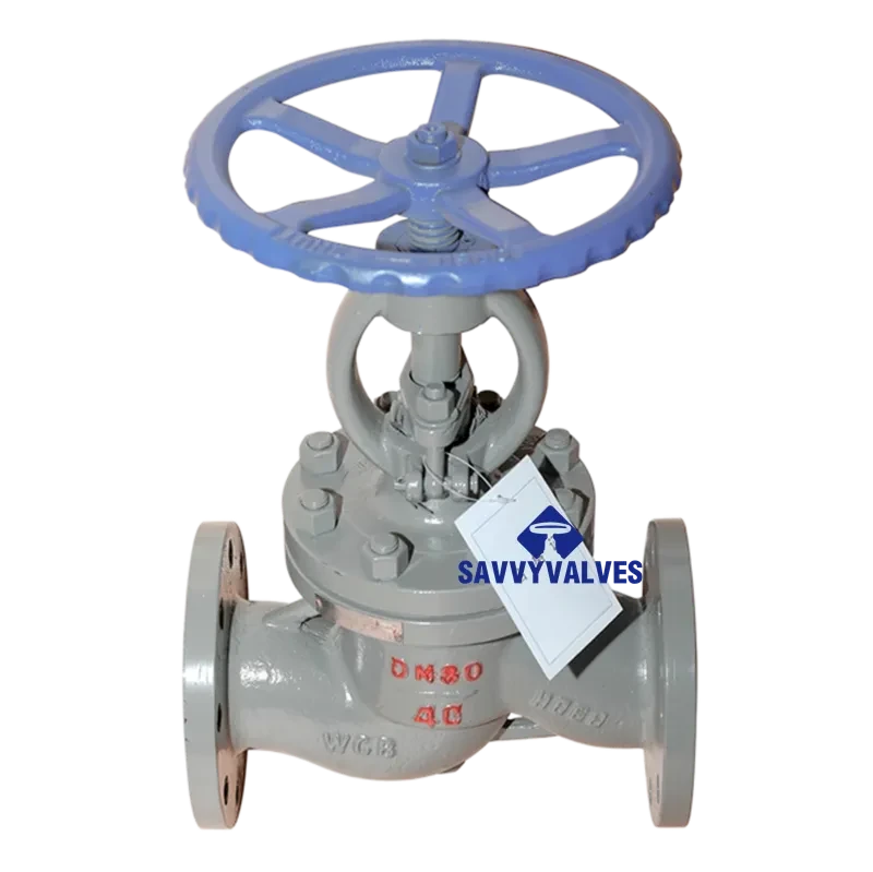 DN80-PN40-RF Soft Seated Globe Valve