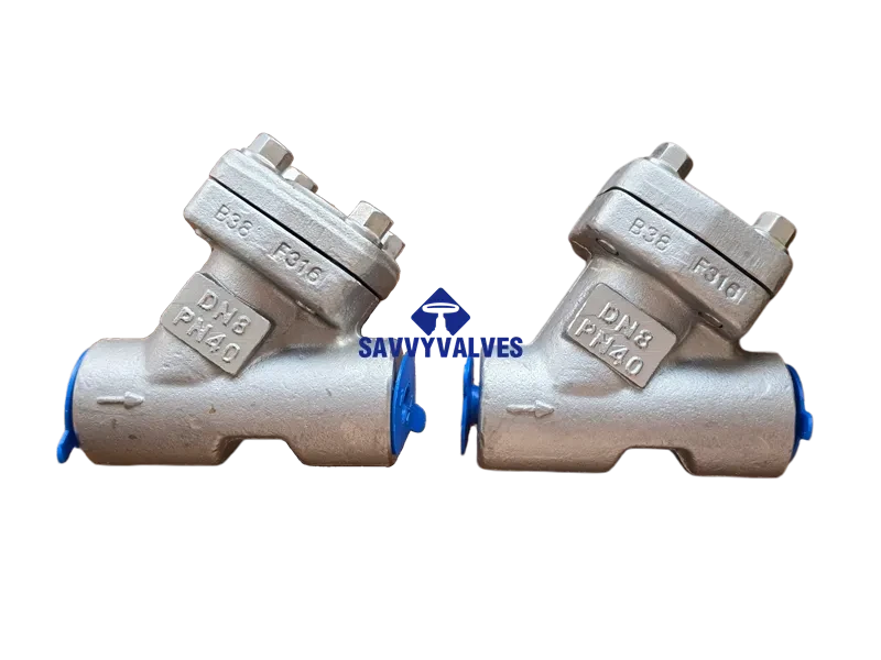 DN8-PN40 Y Pattern Lift Check Valve