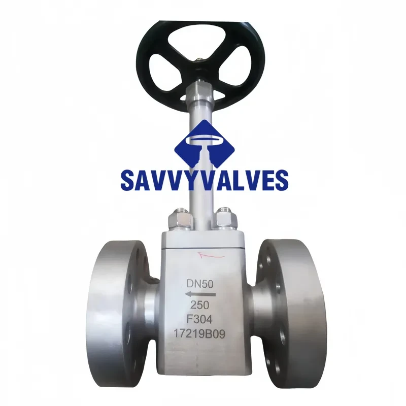 Cryogenic Open Die Forged Globe Valve