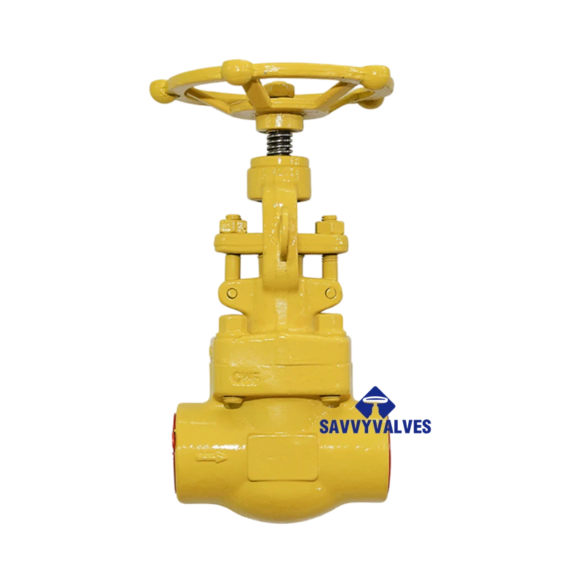 1″-600LB A105N Globe Valve
