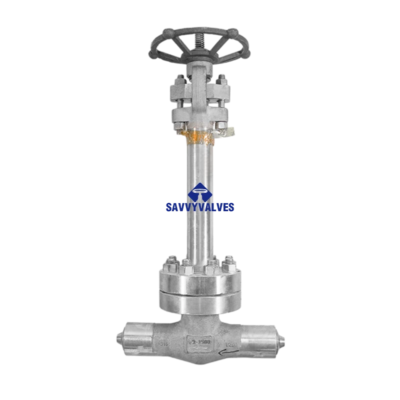 1/2″-2500LB Cryogenic Globe Valve