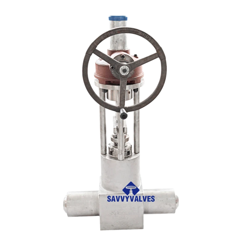 3″-2500LB Open Die Forged Gate Valve