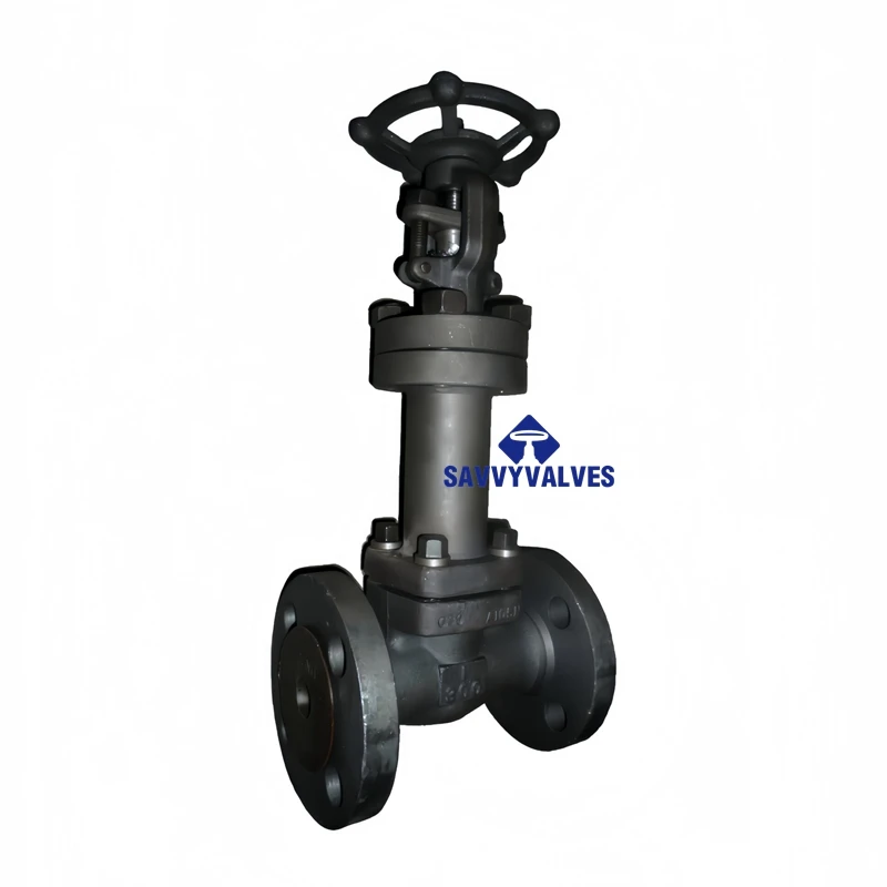 API 602 Closed Die-forged Gate Valve Extended Bonnet