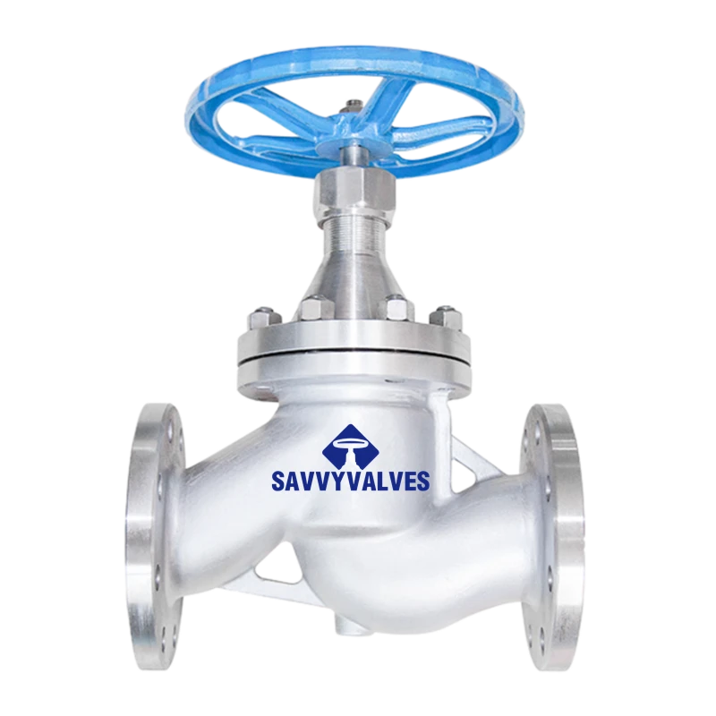 DN80-PN40 NRS SS Globe Valve