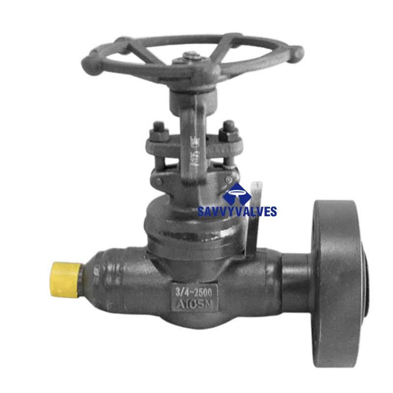 3/4″-2500LB-RTJ*SW Welded Bonnet Globe Valve